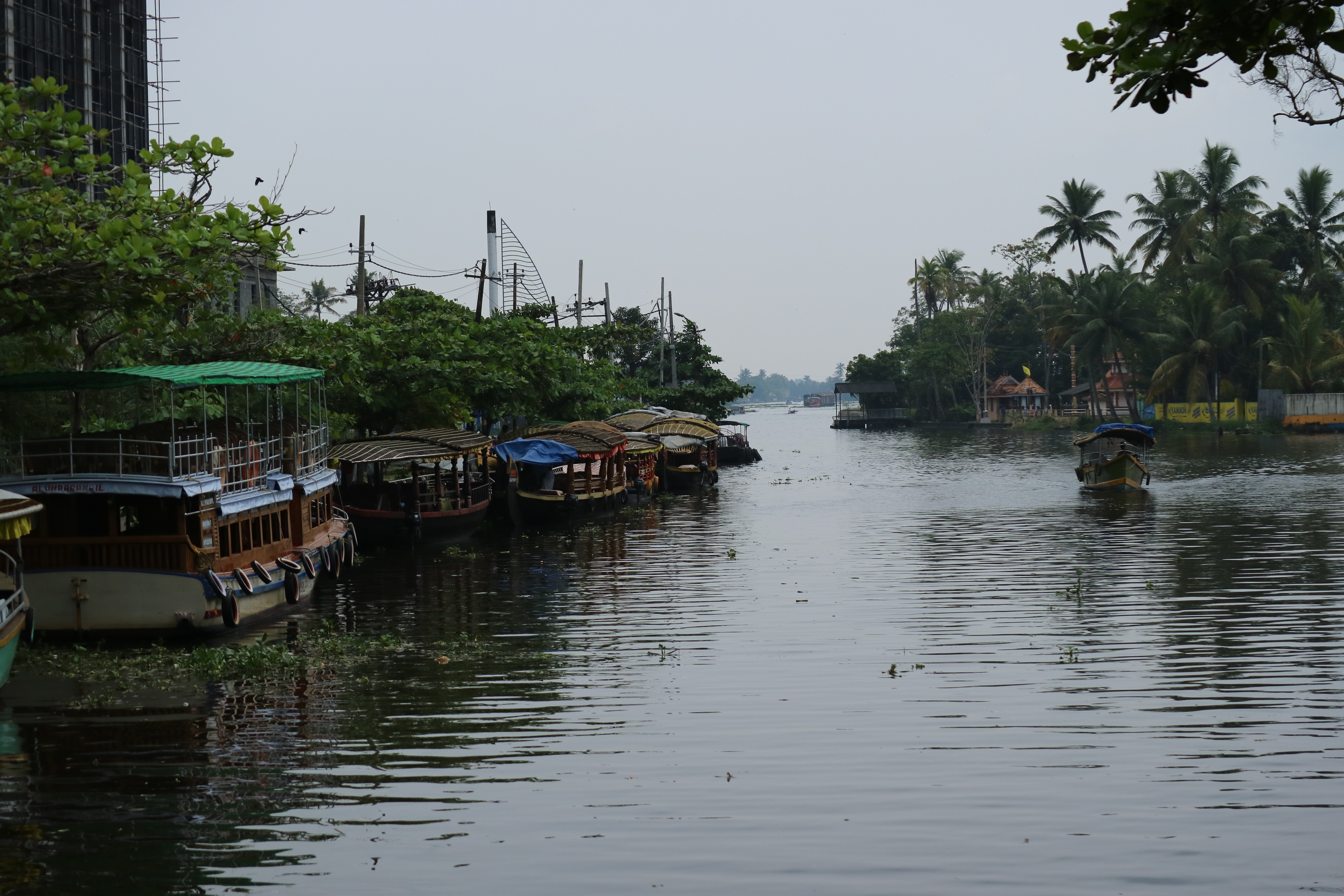 Boats On Kerala Backwaters, landscapes fine art print by UNFRAMED Archive, 24 x 16 in